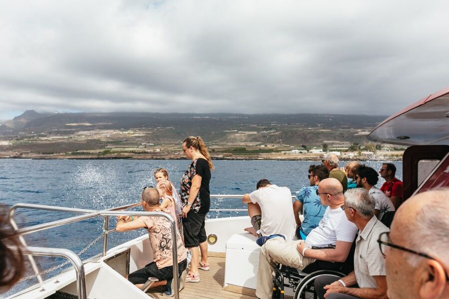 Adeje: Whale and Dolphin Watching Cruise with Lunch and Swim - Watching whales and dolphins from above and below