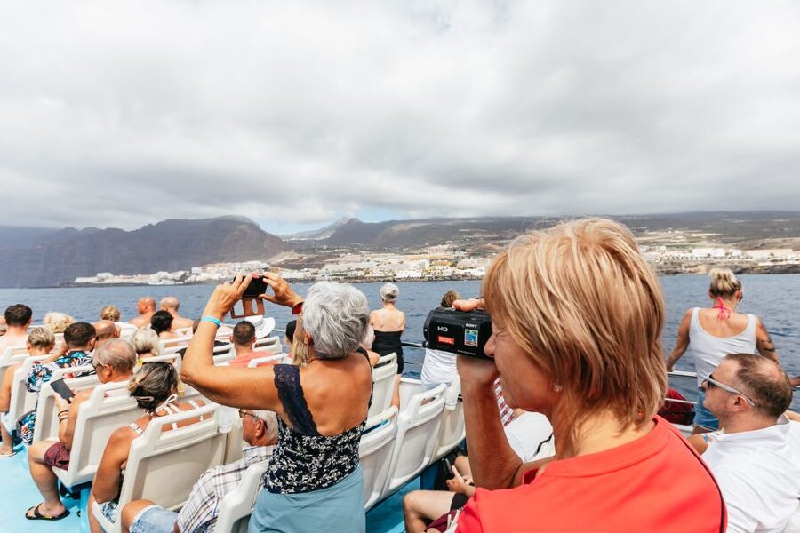 Adeje: Whale and Dolphin Watching Cruise with Lunch and Swim - The swim stop and lunch onboard