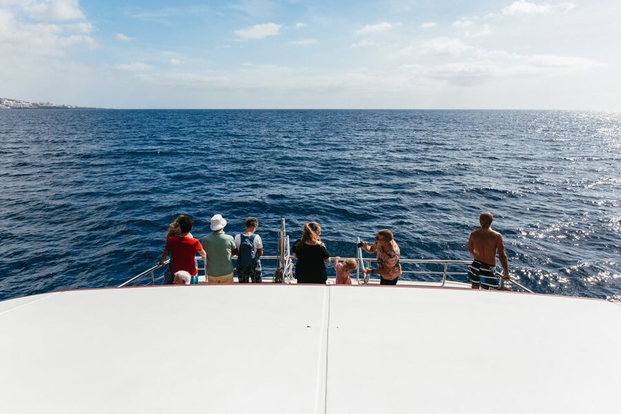 Adeje: Whale and Dolphin Watching Cruise with Lunch and Swim - What the $59 price really covers