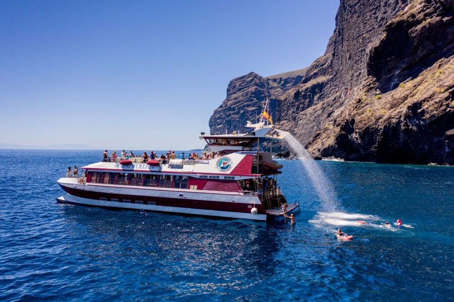 Adeje: Whale and Dolphin Watching Cruise with Lunch and Swim - Handling seasickness, sun, and the morning breeze