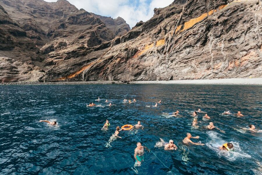 Adeje: Whale and Dolphin Watching Cruise with Lunch and Swim - Families, access, and the right type of passenger