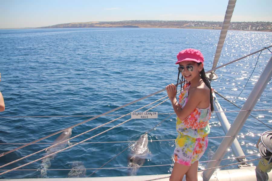 Adelaide: 4-Hour Guaranteed Wild Dolphin Watching Cruise - Comfort, weather, and what to pack
