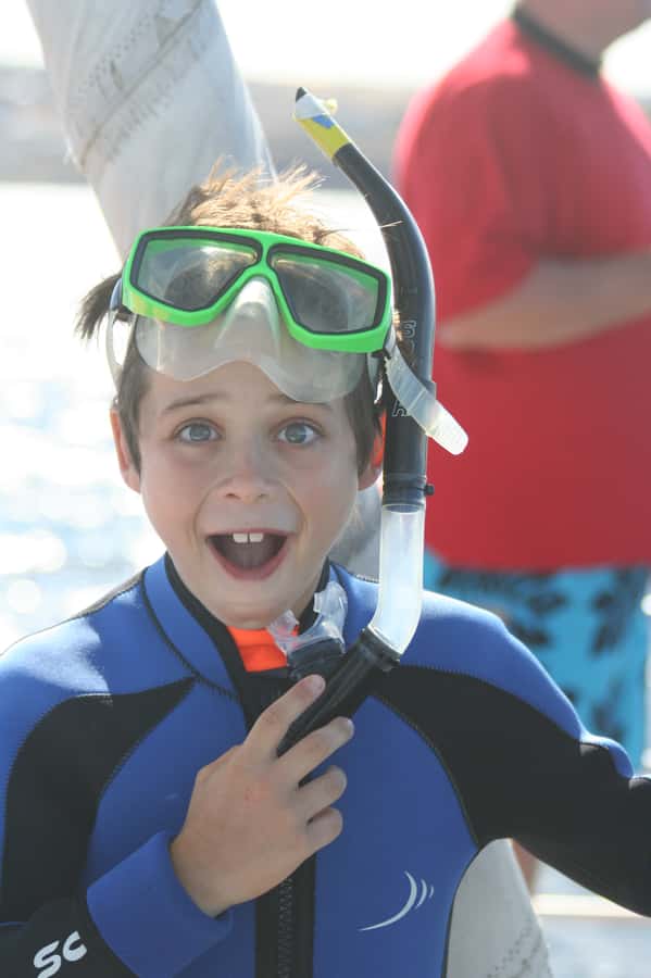 Adelaide: 4-Hour Swimming with Dolphins Experience - Booking, cancellation, and timing details