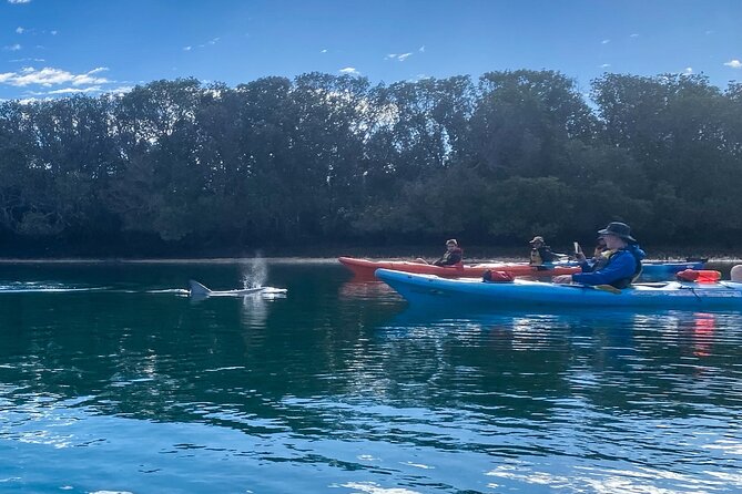 Adelaide Dolphin Sanctuary and Ships Graveyard Kayak Tour - Stop one: getting ready at Garden Island