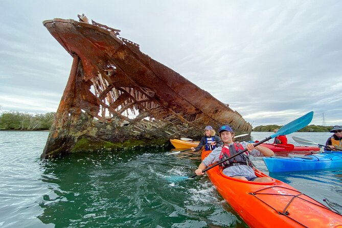 Adelaide Dolphin Sanctuary and Ships Graveyard Kayak Tour - How hard is the paddling?