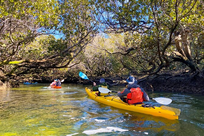 Adelaide Dolphin Sanctuary and Ships Graveyard Kayak Tour - The guides shape the day