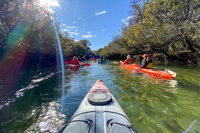 Adelaide Dolphin Sanctuary and Ships Graveyard Kayak Tour - Stop two: the Adelaide Dolphin Sanctuary