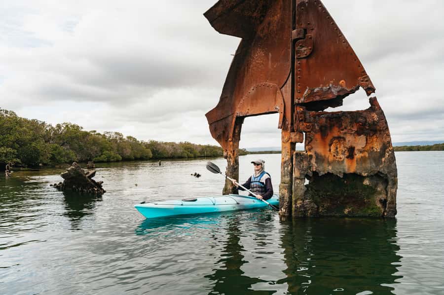 Adelaide: Dolphin Sanctuary Eco Kayaking Tour - Key points before you book