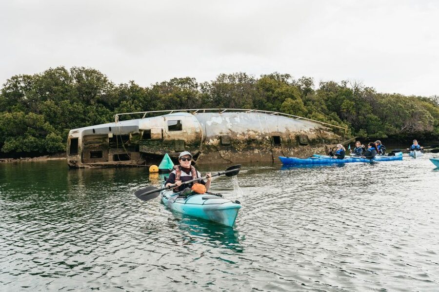 Adelaide: Dolphin Sanctuary Eco Kayaking Tour - Who will enjoy this kayak tour most?