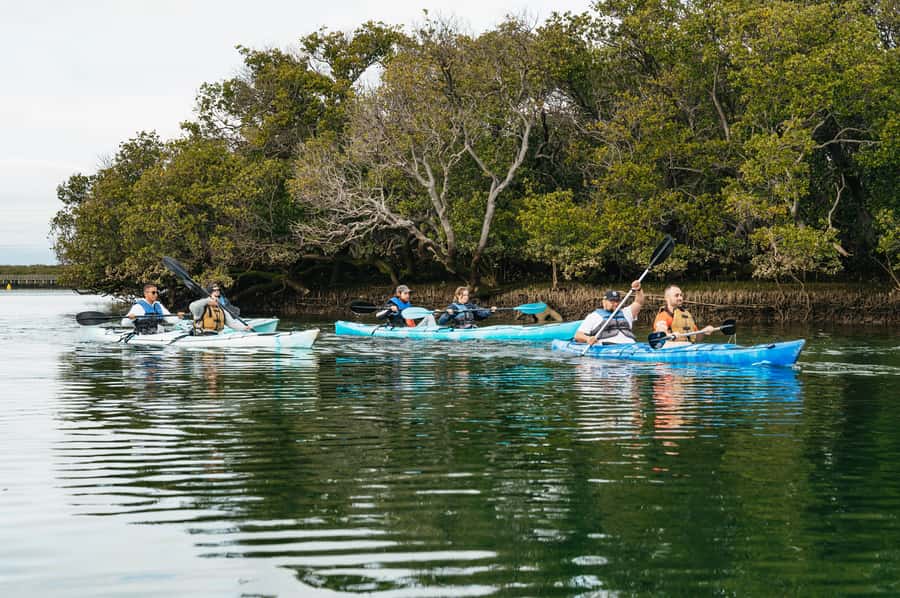 Adelaide: Dolphin Sanctuary Eco Kayaking Tour - The 15-minute briefing for first-time kayakers