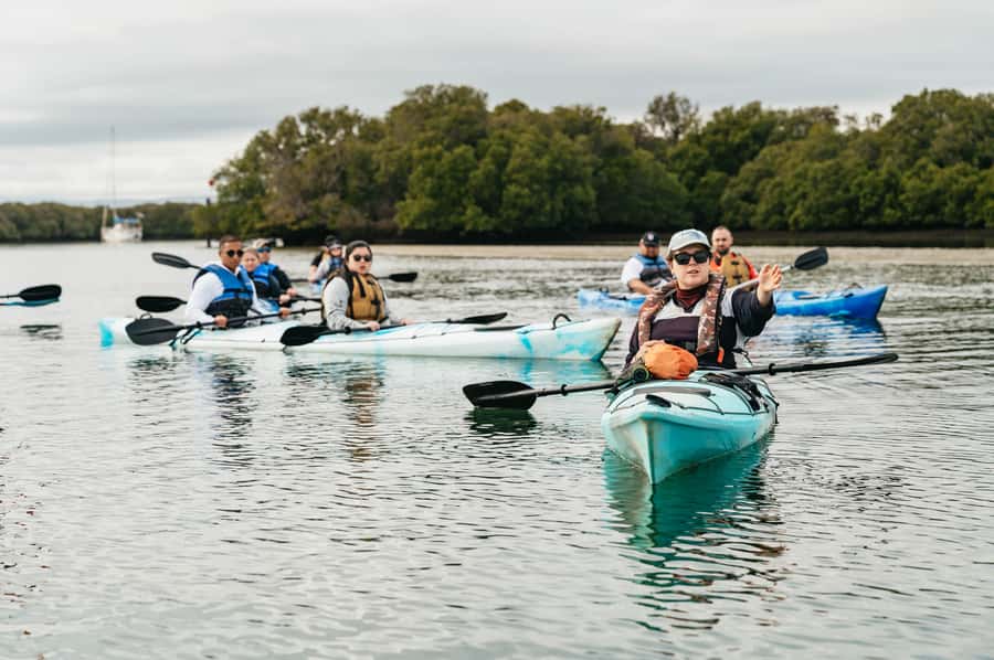 Adelaide: Dolphin Sanctuary Eco Kayaking Tour - Watching dolphins without turning them into a show