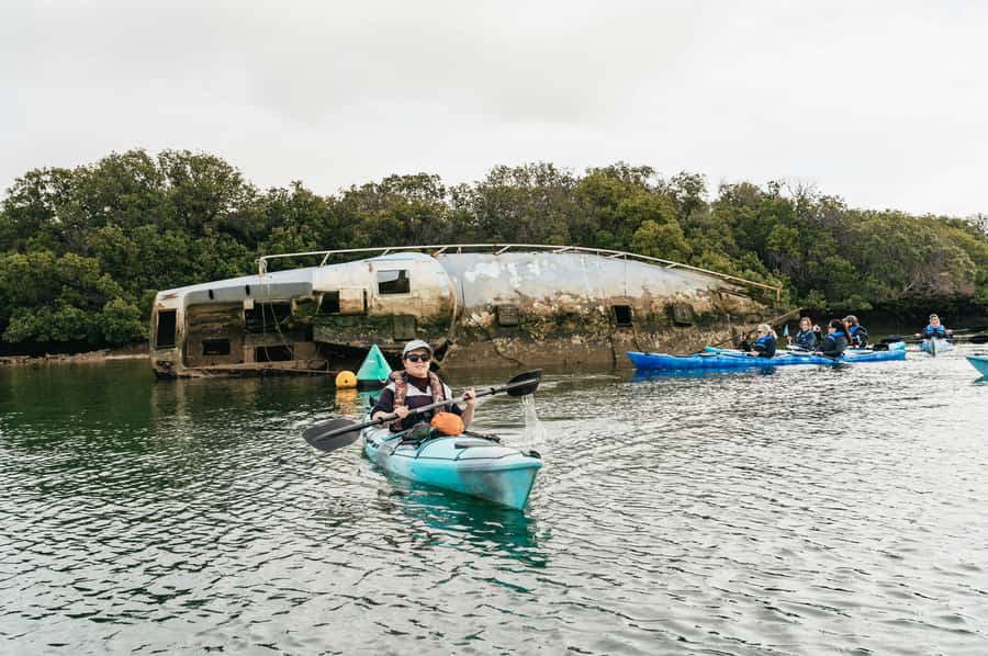 Adelaide: Dolphin Sanctuary Eco Kayaking Tour - Is $55 good value for three hours?