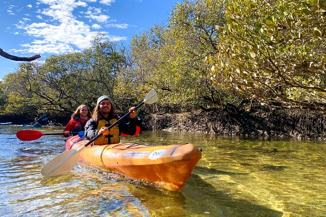 Adelaide Dolphin Sanctuary Mangroves Kayaking Tour - Key points to know before you book