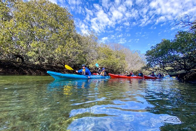 Adelaide Dolphin Sanctuary Mangroves Kayaking Tour - Entering the Adelaide Dolphin Sanctuary