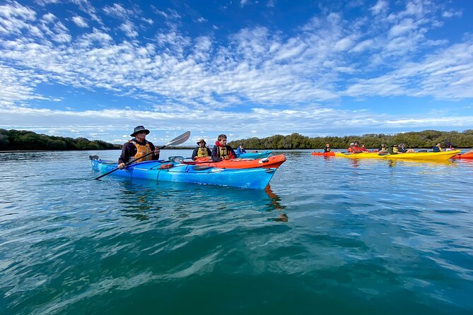 Adelaide Dolphin Sanctuary Mangroves Kayaking Tour - Safety preparation is part of the 90 minutes