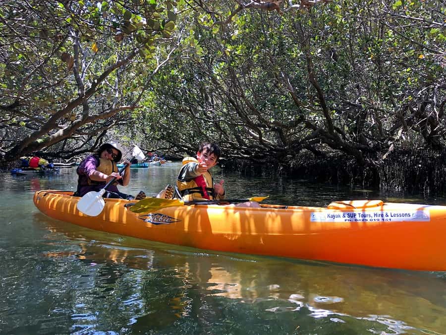 Adelaide: Dolphin Sanctuary Single or Double Kayak Rental - Key points at a glance