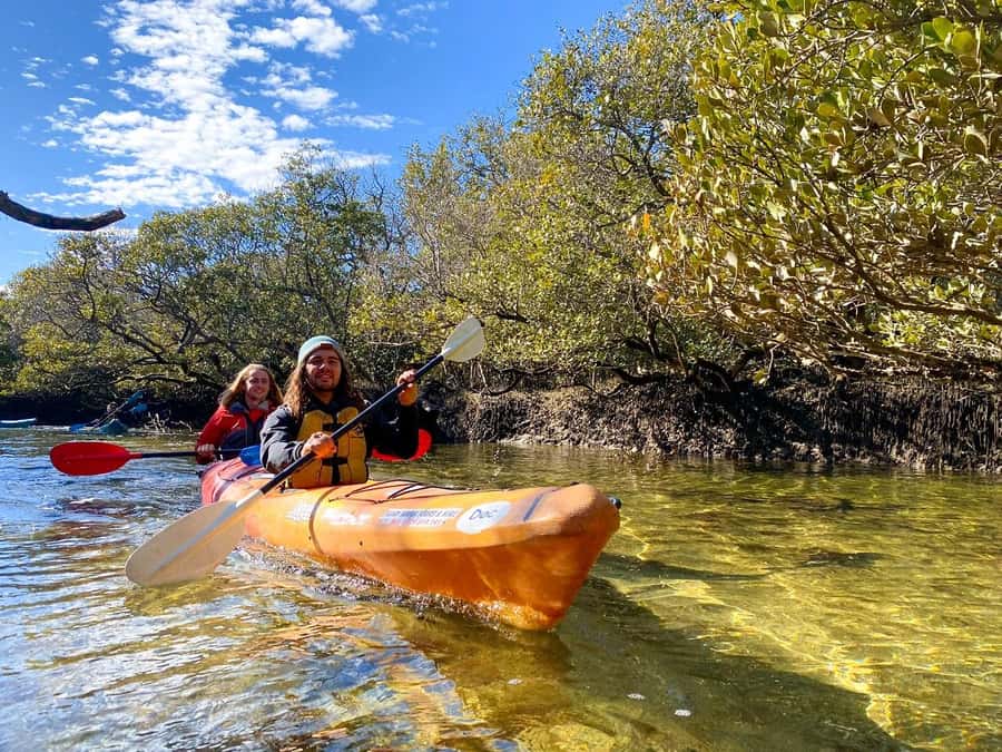 Adelaide: Dolphin Sanctuary Single or Double Kayak Rental - Starting at Garden Island Boat Ramp