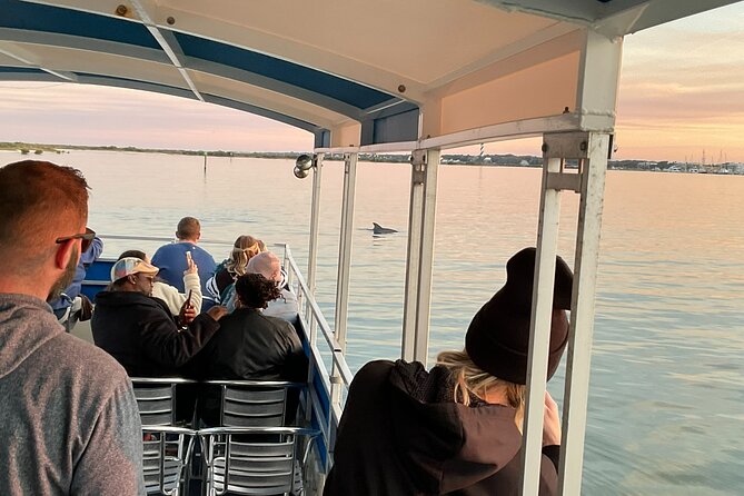 Adventure Boat Tours Dolphin Tails & History Cruise St Augustine - Going under the bridge