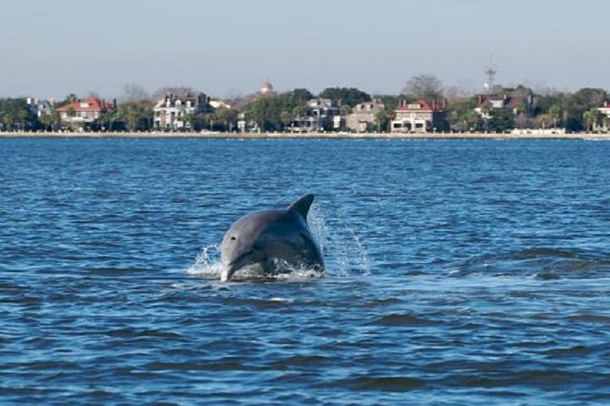 Afternoon Schooner Sightseeing Dolphin Cruise on Charleston Harbor - Why the Schooner Pride makes a better harbor view