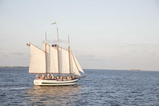 Afternoon Schooner Sightseeing Dolphin Cruise on Charleston Harbor - Dolphins, USS Yorktown, and the modern harbor