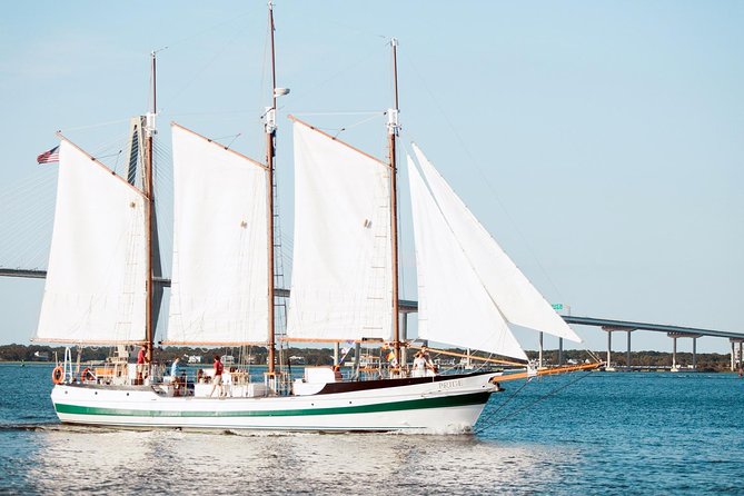 Afternoon Schooner Sightseeing Dolphin Cruise on Charleston Harbor - Weather can make or break the afternoon