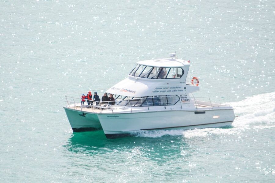 Akaroa: Dolphin Nature Cruise - Who should book this cruise?