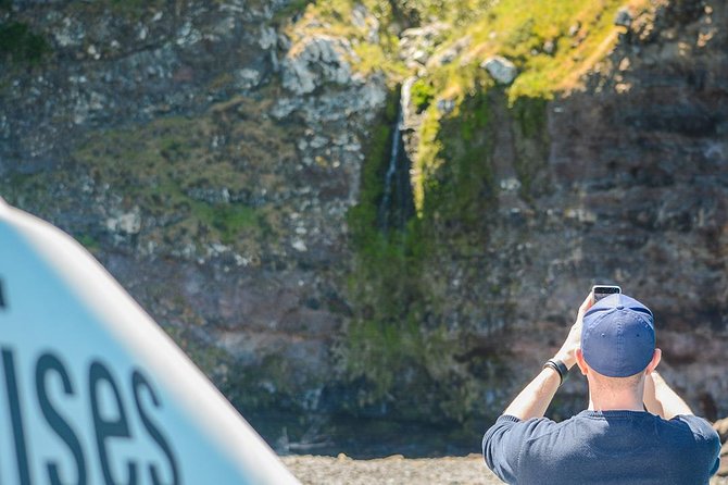 Akaroa Dolphins ~ Harbour Nature Cruise - Who will enjoy this Akaroa cruise most