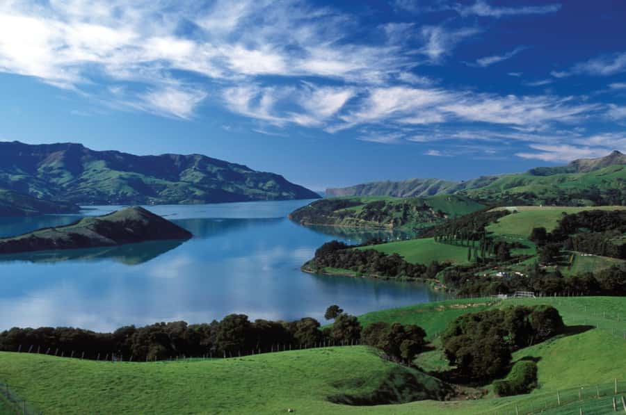 Akaroa Harbour 2-Hour Dolphin Nature Cruise - Why this Akaroa cruise is worth your time