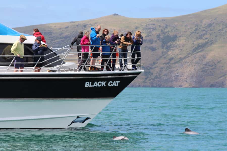 Akaroa Harbour 2-Hour Dolphin Nature Cruise - A spacious catamaran with useful comforts