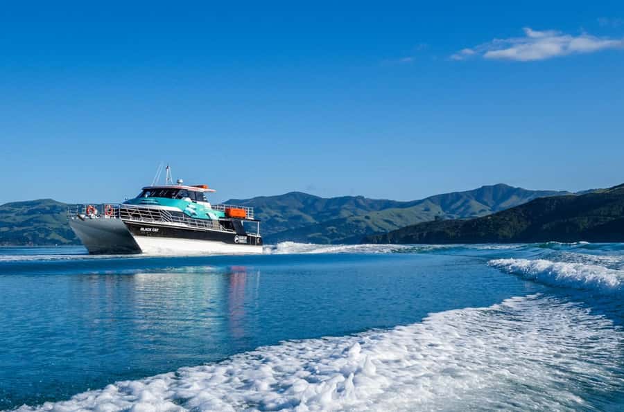Akaroa Harbour 2-Hour Dolphin Nature Cruise - The volcanic story of Akaroa Harbour