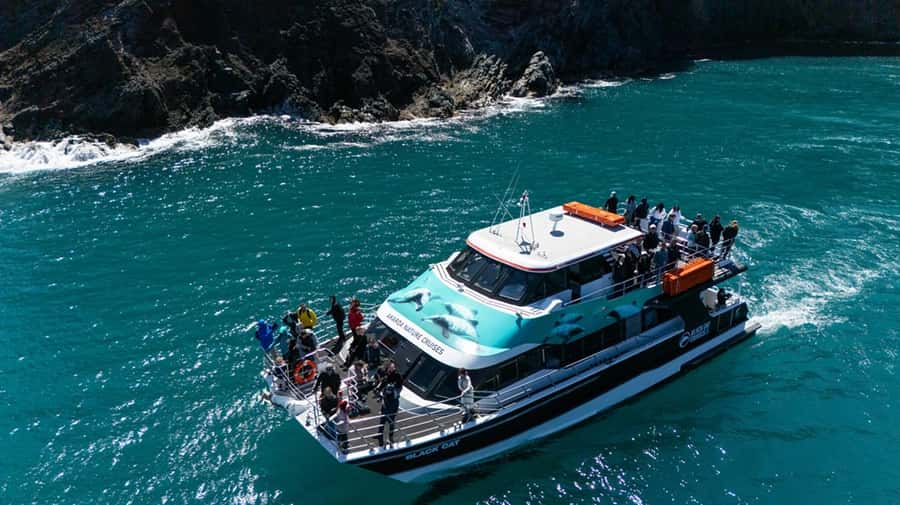 Akaroa Harbour 2-Hour Dolphin Nature Cruise - Weather, clothing, and comfort