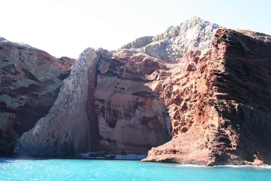 Akaroa Harbour 2-Hour Dolphin Nature Cruise - Who will get the most from the $71 price