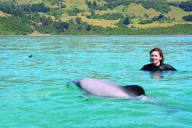 Akaroa Swim with Dolphins Tour from Christchurch - The Christchurch to Akaroa road trip