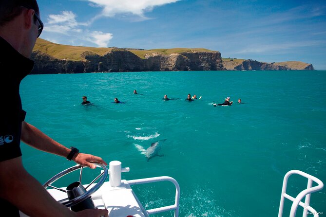 Akaroa Swim with Dolphins Tour from Christchurch - Free time in Akaroa after the boat