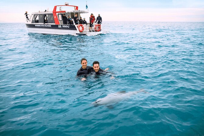 Akaroa Swim with Dolphins Tour from Christchurch - Price, group size, and the real value