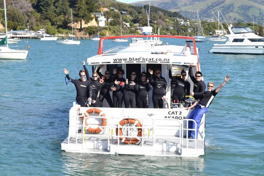Akaroa: Swimming with Wild Dolphins Experience - The boat ride before the swim