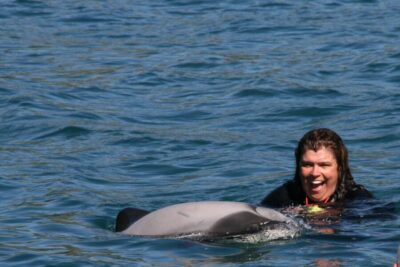 Akaroa: Swimming with Wild Dolphins Experience