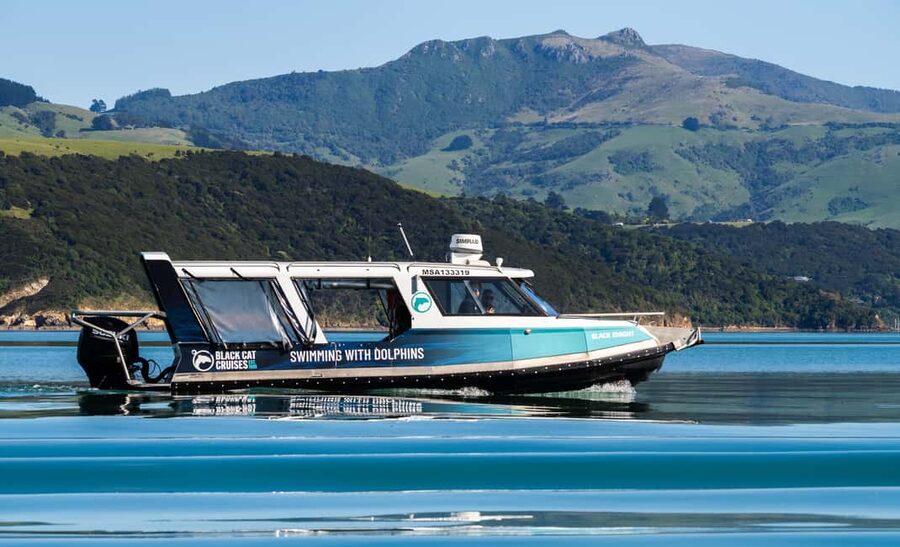 Akaroa: Swimming with Wild Dolphins Experience - Photos, seals, and the ride home