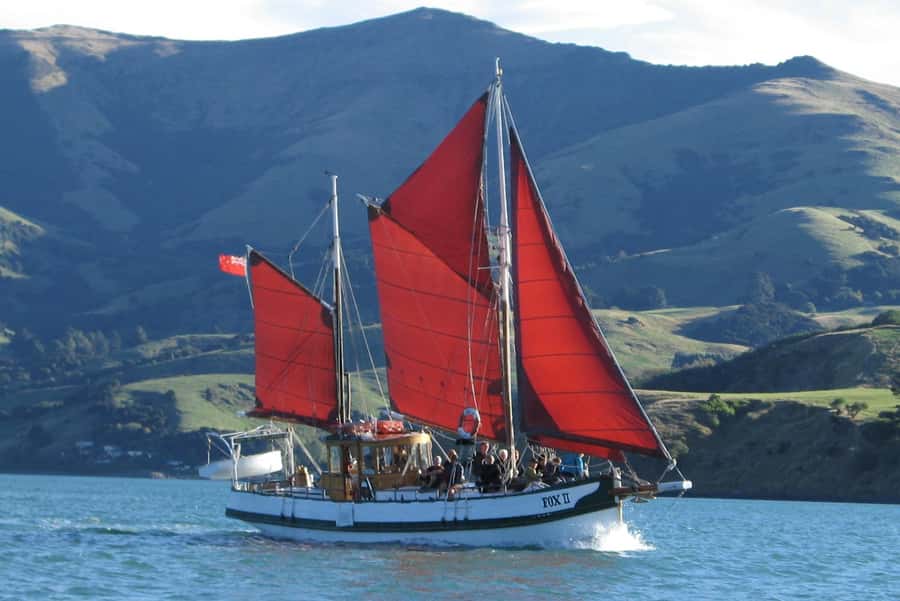 Akaroa: Wildlife Cruise with Dolphins and Penguins - Key points to know before you sail