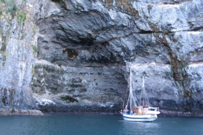Akaroa: Wildlife Cruise with Dolphins and Penguins