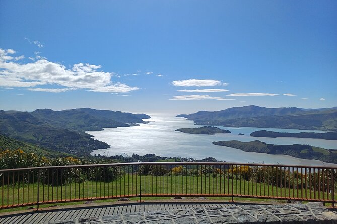 Akaroa with optional dolphin cruise (Small Group Tour) - Why the small group makes this Akaroa trip work