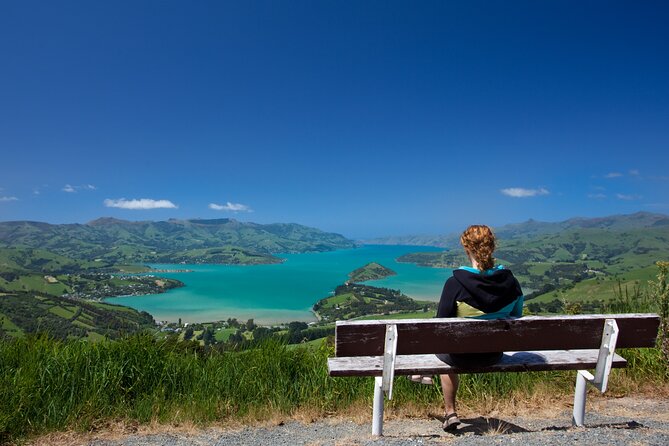 Akaroa with optional dolphin cruise (Small Group Tour) - Little River, local food, and a slower half hour