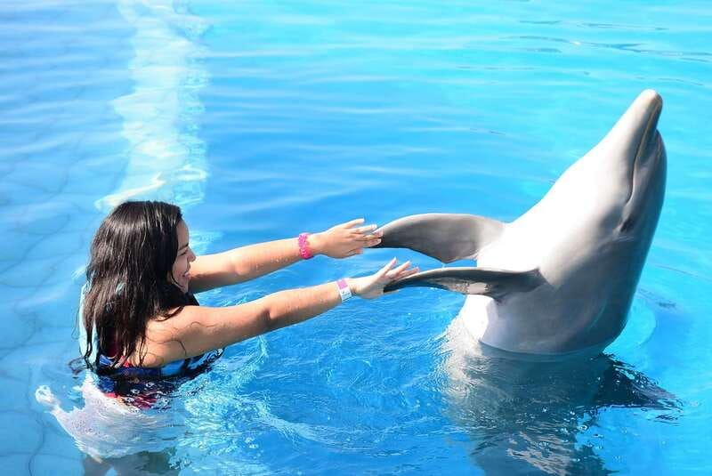 Akumal: Dolphin Encounter - Key points at a glance