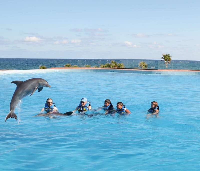 Akumal: Dolphin Encounter - What the 55-minute Akumal dolphin encounter is really like