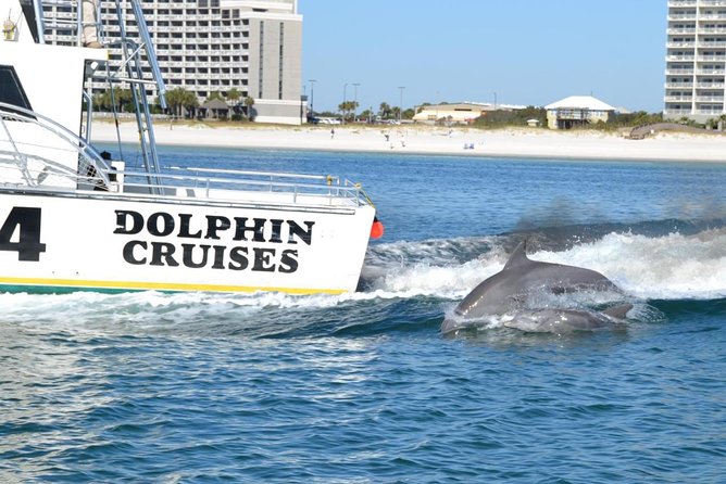Alabama Gulf Coast Dolphin Cruise - Upper-Deck Views and the Lower Cabin Problem