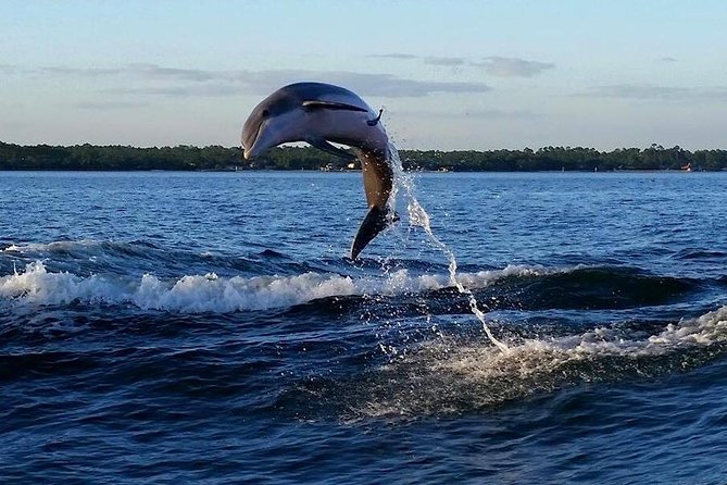 Alabama Gulf Coast Dolphin Cruise - Early Departures, Water Battles, and Family Fun