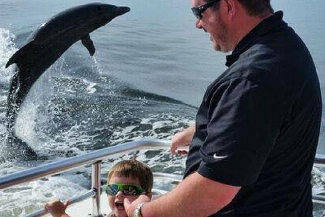Alabama Gulf Coast Dolphin Cruise - Is the Cruise Worth the Cost?