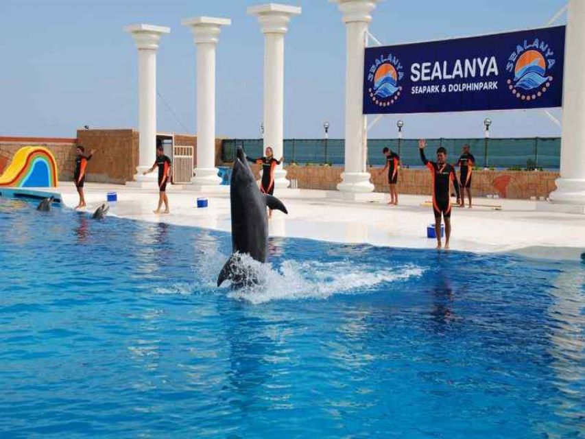 Alanya: Dolphin and Seal Show Ticket with Hotel Transfers - Getting from Alanya to Sealanya Dolphinpark