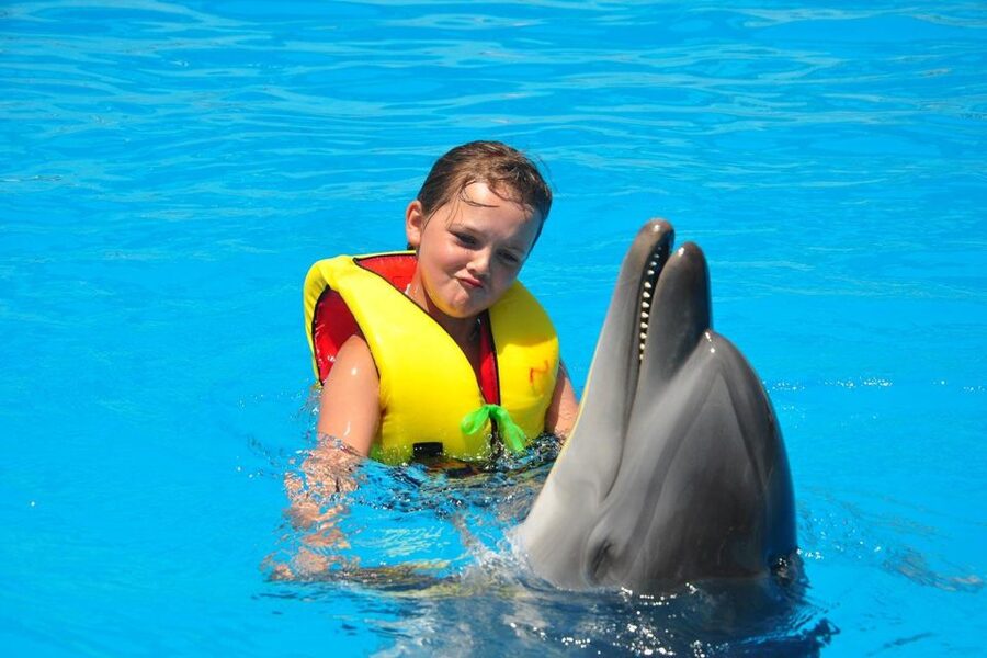 Alanya: Dolphin and Seal Show Ticket with Hotel Transfers - How much value do you get for $40?