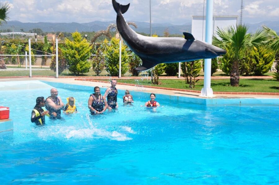 Alanya: Dolphin and Seal Show Ticket with Hotel Transfers - The family-friendly details that matter